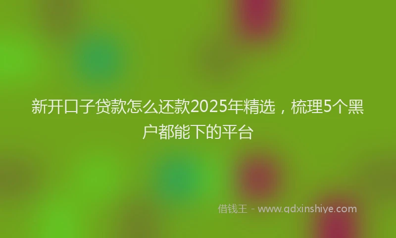 新开口子贷款怎么还款2025年精选，梳理5个黑户都能下的平台
