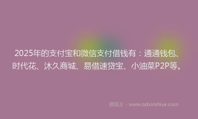 2025年的支付宝和微信支付借钱有：通通钱包、时代花、沐久商城、易借速贷宝、小油菜P2P等。