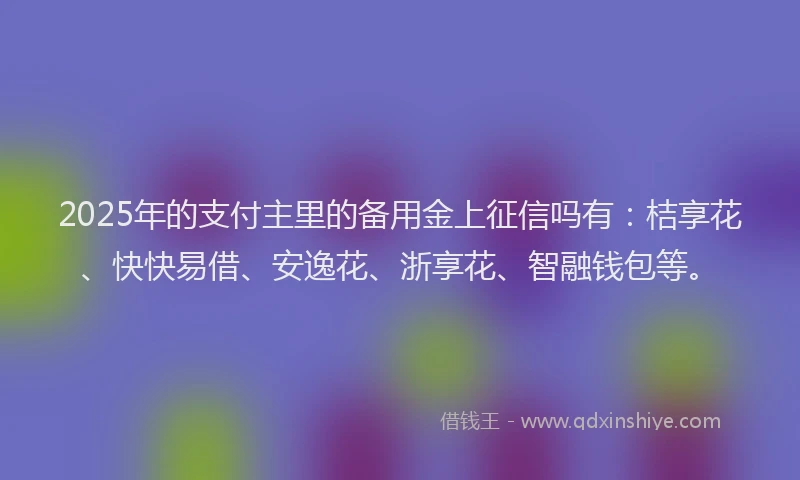 2025年的支付主里的备用金上征信吗有：桔享花、快快易借、安逸花、浙享花、智融钱包等。