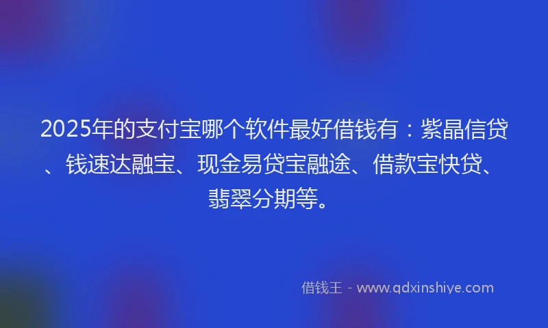 2025年的支付宝哪个软件最好借钱有：紫晶信贷、钱速达融宝、现金易贷宝融途、借款宝快贷、翡翠分期等。