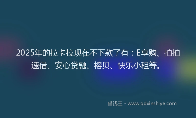 2025年的拉卡拉现在不下款了有：E享购、拍拍速借、安心贷融、榕贝、快乐小租等。