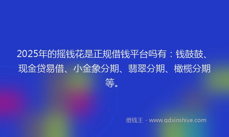 2025年的摇钱花是正规借钱平台吗有：钱鼓鼓、现金贷易借、小金象分期、翡翠分期、橄榄分期等。