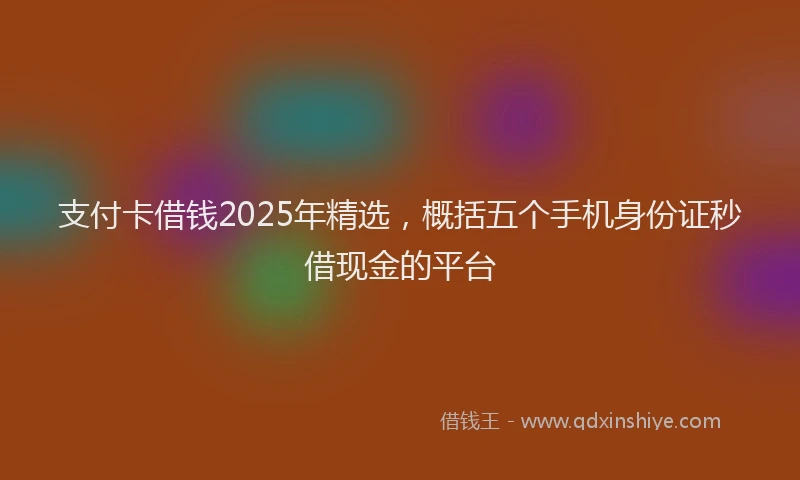 支付卡借钱2025年精选，概括五个手机身份证秒借现金的平台