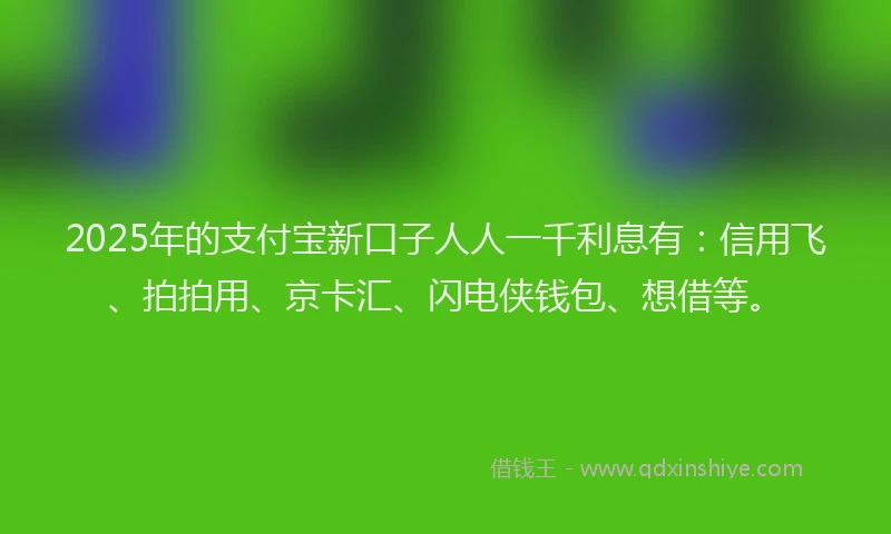2025年的支付宝新口子人人一千利息有：信用飞、拍拍用、京卡汇、闪电侠钱包、想借等。
