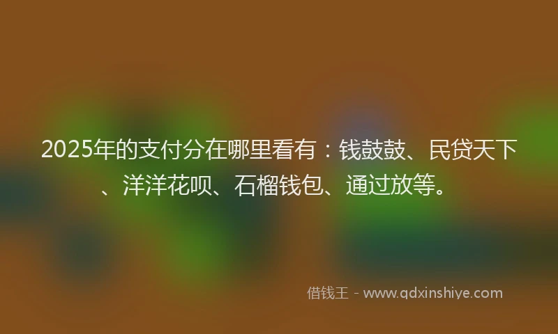 2025年的支付分在哪里看有：钱鼓鼓、民贷天下、洋洋花呗、石榴钱包、通过放等。