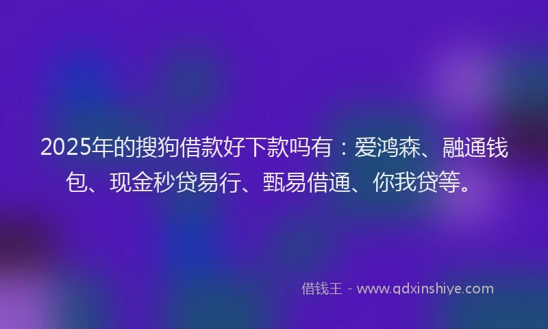 2025年的搜狗借款好下款吗有：爱鸿森、融通钱包、现金秒贷易行、甄易借通、你我贷等。