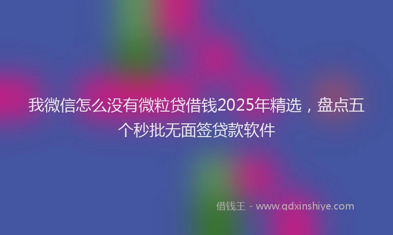 我微信怎么没有微粒贷借钱2025年精选，盘点五个秒批无面签贷款软件
