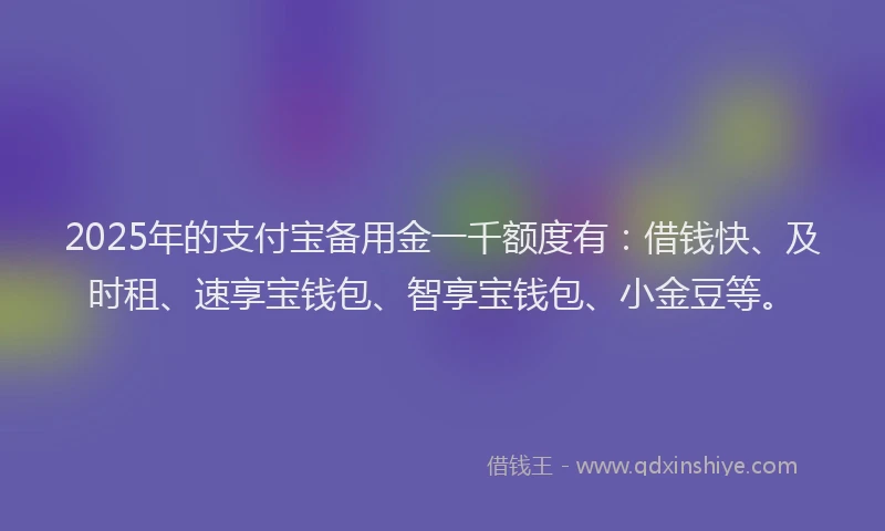 2025年的支付宝备用金一千额度有：借钱快、及时租、速享宝钱包、智享宝钱包、小金豆等。