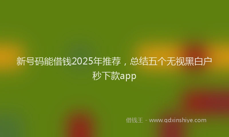 新号码能借钱2025年推荐，总结五个无视黑白户秒下款app