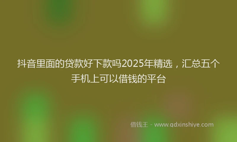 抖音里面的贷款好下款吗2025年精选，汇总五个手机上可以借钱的平台