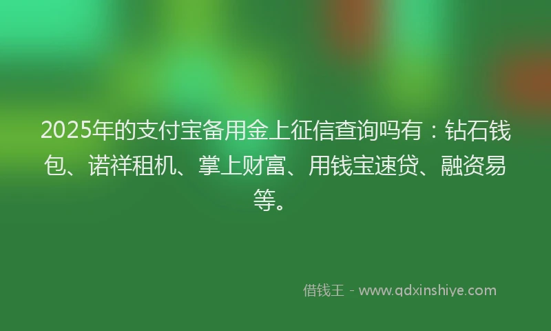 2025年的支付宝备用金上征信查询吗有：钻石钱包、诺祥租机、掌上财富、用钱宝速贷、融资易等。