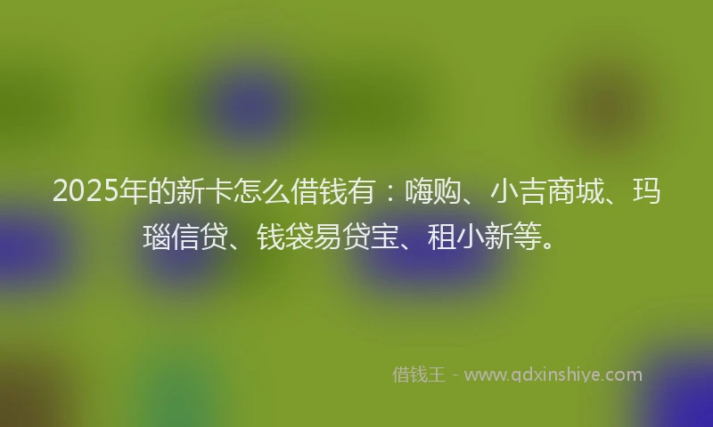 2025年的新卡怎么借钱有：嗨购、小吉商城、玛瑙信贷、钱袋易贷宝、租小新等。