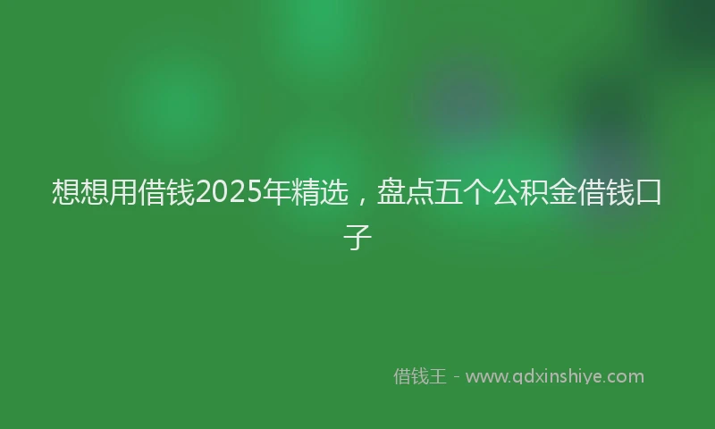 想想用借钱2025年精选，盘点五个公积金借钱口子