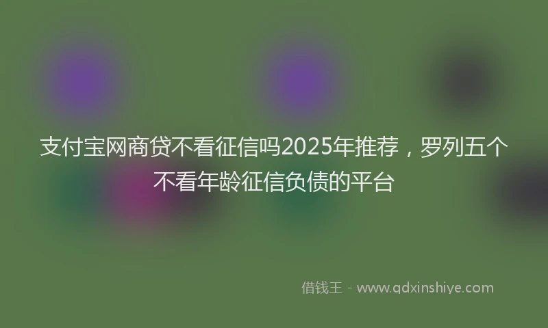 支付宝网商贷不看征信吗2025年推荐，罗列五个不看年龄征信负债的平台
