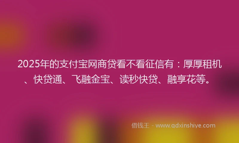 2025年的支付宝网商贷看不看征信有：厚厚租机、快贷通、飞融金宝、读秒快贷、融享花等。