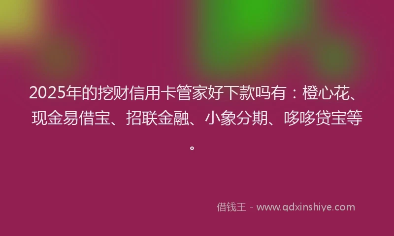 2025年的挖财信用卡管家好下款吗有：橙心花、现金易借宝、招联金融、小象分期、哆哆贷宝等。