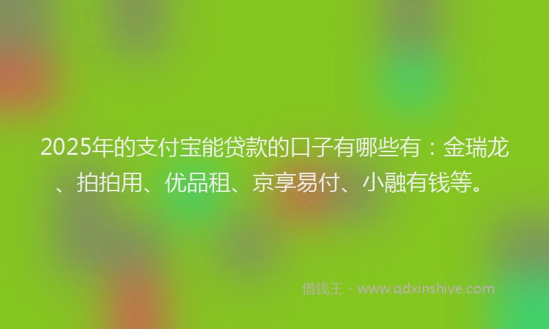 2025年的支付宝能贷款的口子有哪些有：金瑞龙、拍拍用、优品租、京享易付、小融有钱等。
