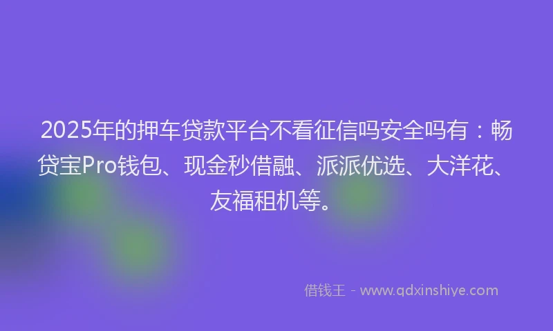 2025年的押车贷款平台不看征信吗安全吗有：畅贷宝Pro钱包、现金秒借融、派派优选、大洋花、友福租机等。