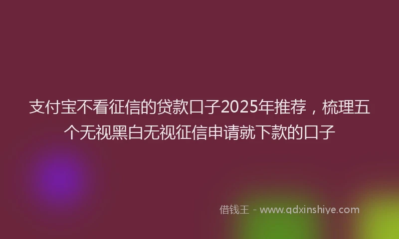 支付宝不看征信的贷款口子2025年推荐，梳理五个无视黑白无视征信申请就下款的口子