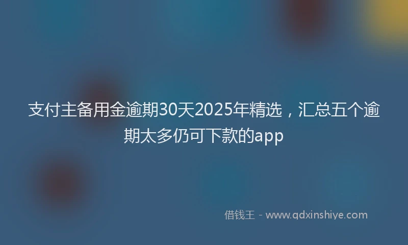 支付主备用金逾期30天2025年精选，汇总五个逾期太多仍可下款的app