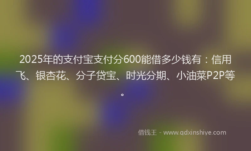 2025年的支付宝支付分600能借多少钱有：信用飞、银杏花、分子贷宝、时光分期、小油菜P2P等。