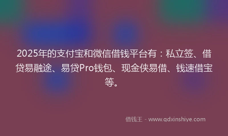 2025年的支付宝和微信借钱平台有：私立签、借贷易融途、易贷Pro钱包、现金侠易借、钱速借宝等。