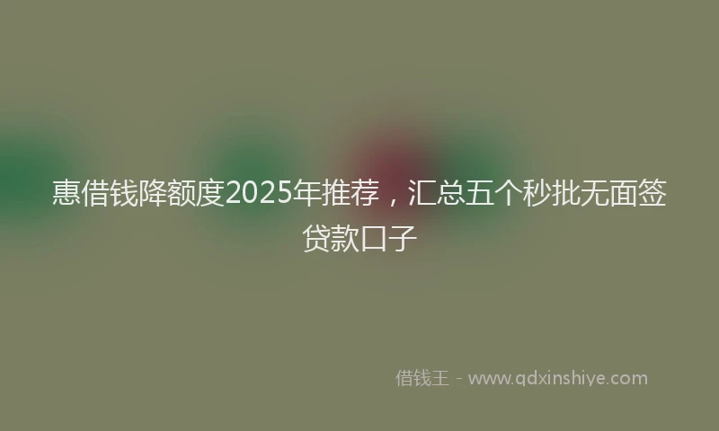 惠借钱降额度2025年推荐，汇总五个秒批无面签贷款口子