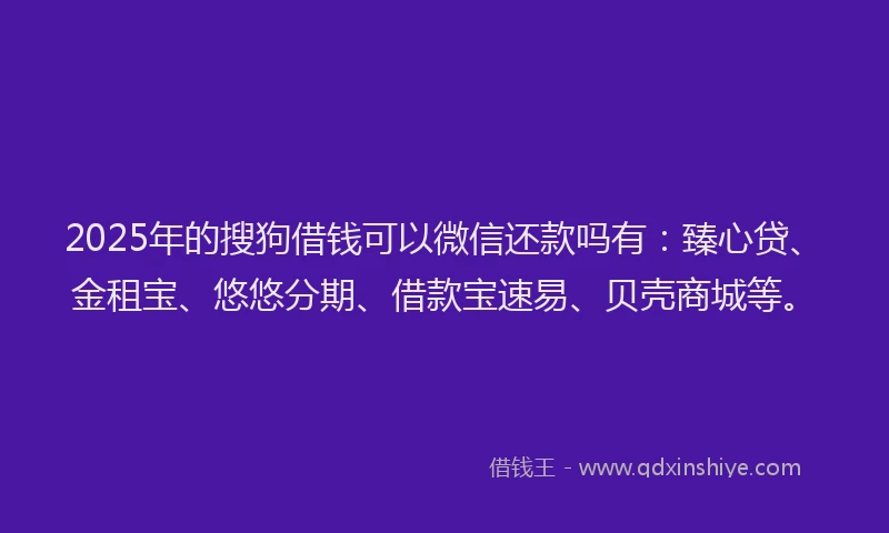 2025年的搜狗借钱可以微信还款吗有：臻心贷、金租宝、悠悠分期、借款宝速易、贝壳商城等。