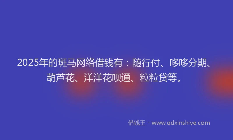 2025年的斑马网络借钱有：随行付、哆哆分期、葫芦花、洋洋花呗通、粒粒贷等。