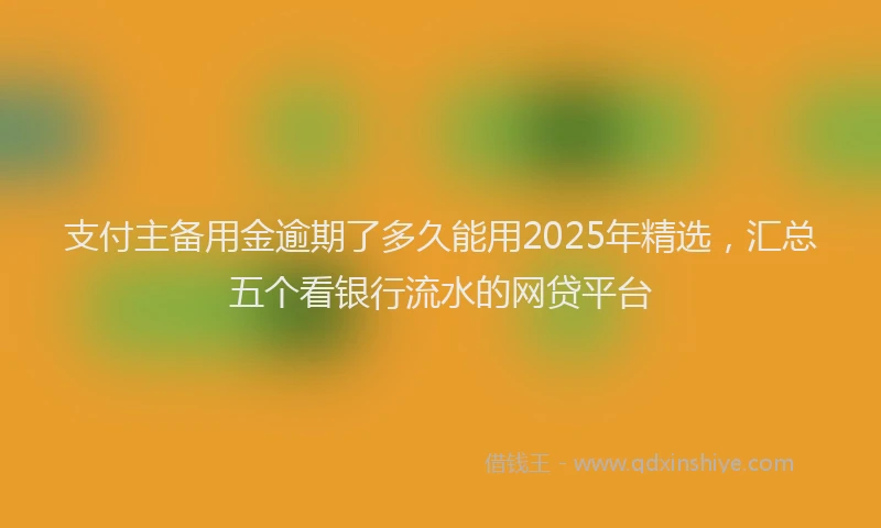支付主备用金逾期了多久能用2025年精选，汇总五个看银行流水的网贷平台