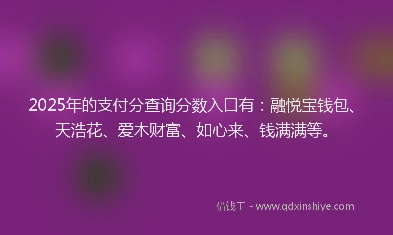 2025年的支付分查询分数入口有：融悦宝钱包、天浩花、爱木财富、如心来、钱满满等。