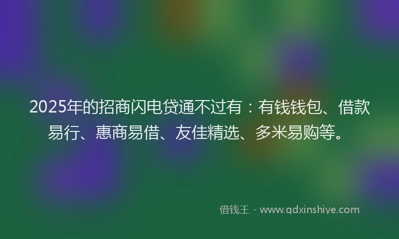 2025年的招商闪电贷通不过有：有钱钱包、借款易行、惠商易借、友佳精选、多米易购等。