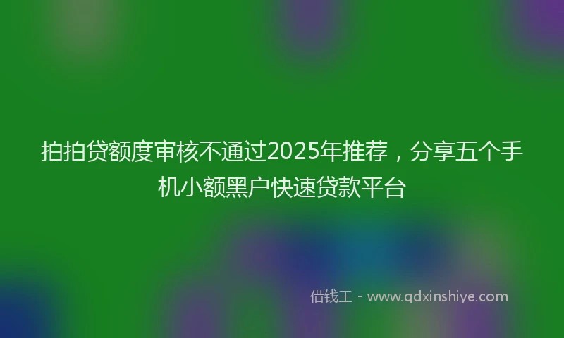 拍拍贷额度审核不通过2025年推荐，分享五个手机小额黑户快速贷款平台
