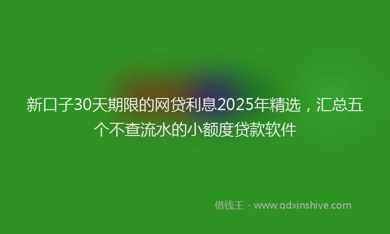 新口子30天期限的网贷利息2025年精选，汇总五个不查流水的小额度贷款软件
