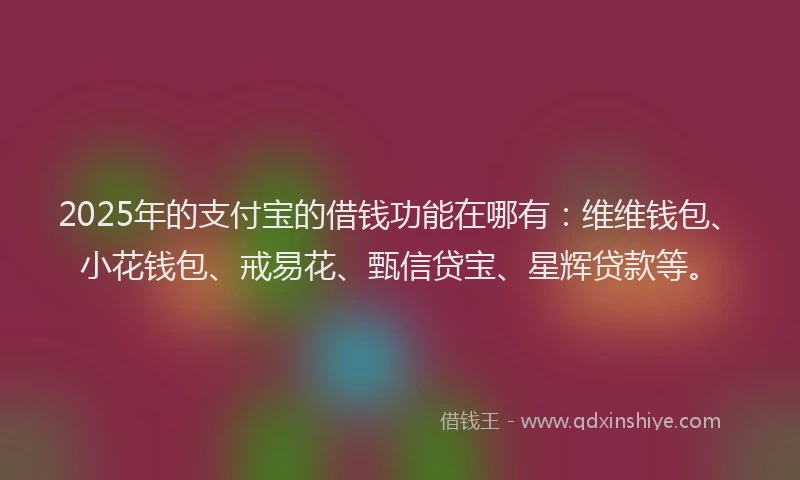 2025年的支付宝的借钱功能在哪有：维维钱包、小花钱包、戒易花、甄信贷宝、星辉贷款等。