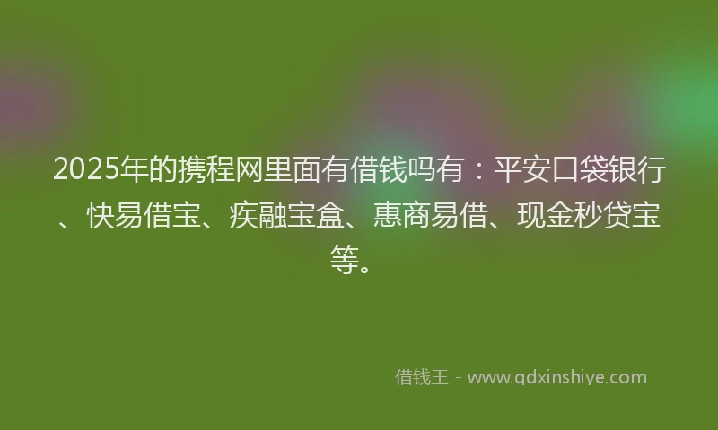 2025年的携程网里面有借钱吗有：平安口袋银行、快易借宝、疾融宝盒、惠商易借、现金秒贷宝等。
