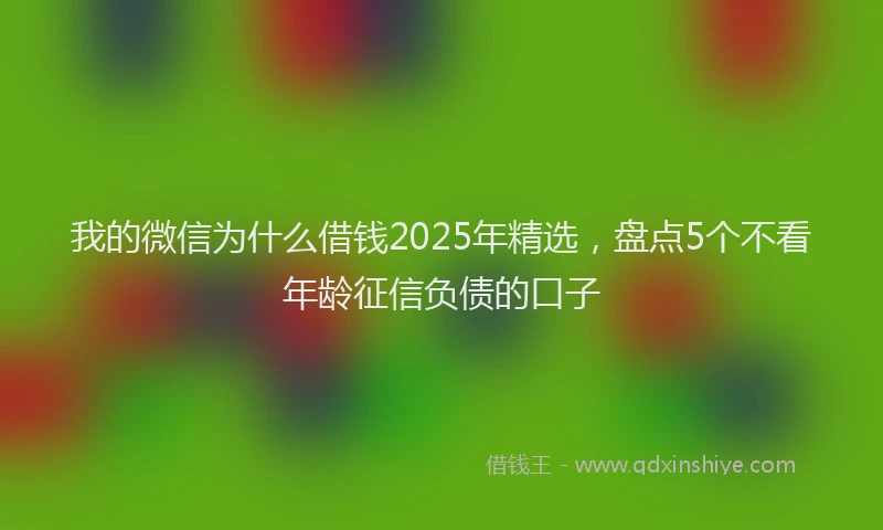 我的微信为什么借钱2025年精选，盘点5个不看年龄征信负债的口子