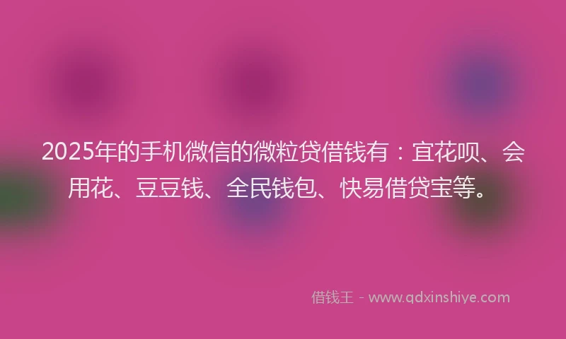 2025年的手机微信的微粒贷借钱有：宜花呗、会用花、豆豆钱、全民钱包、快易借贷宝等。