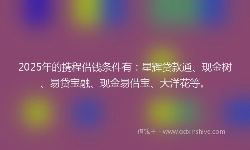 2025年的携程借钱条件有：星辉贷款通、现金树、易贷宝融、现金易借宝、大洋花等。