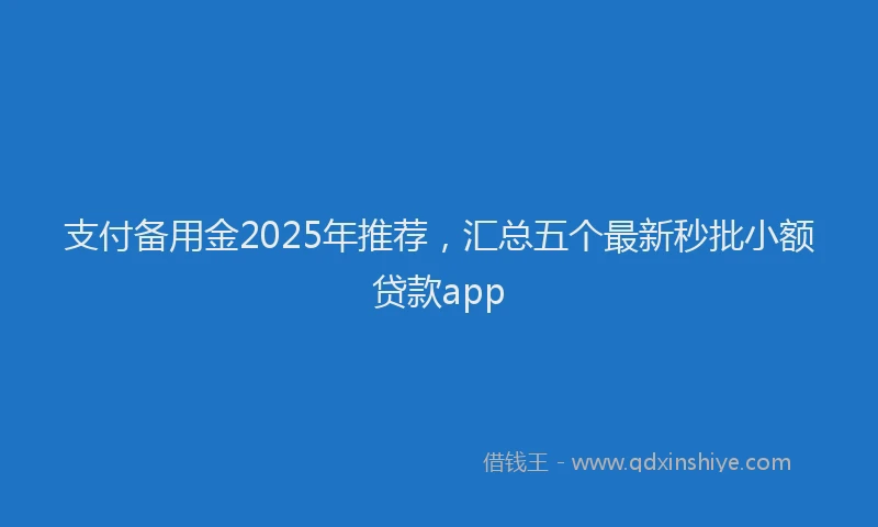 支付备用金2025年推荐，汇总五个最新秒批小额贷款app