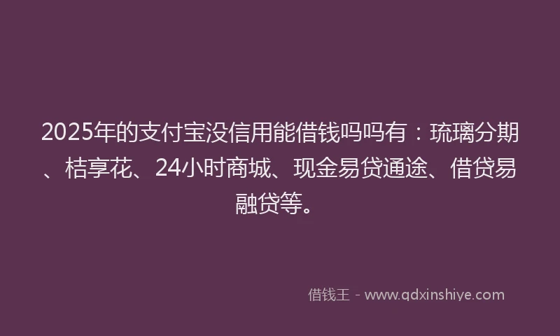2025年的支付宝没信用能借钱吗吗有：琉璃分期、桔享花、24小时商城、现金易贷通途、借贷易融贷等。