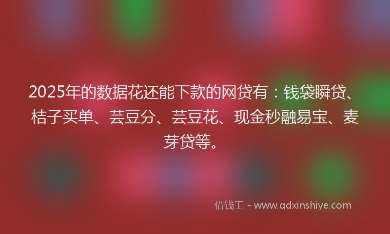 2025年的数据花还能下款的网贷有：钱袋瞬贷、桔子买单、芸豆分、芸豆花、现金秒融易宝、麦芽贷等。