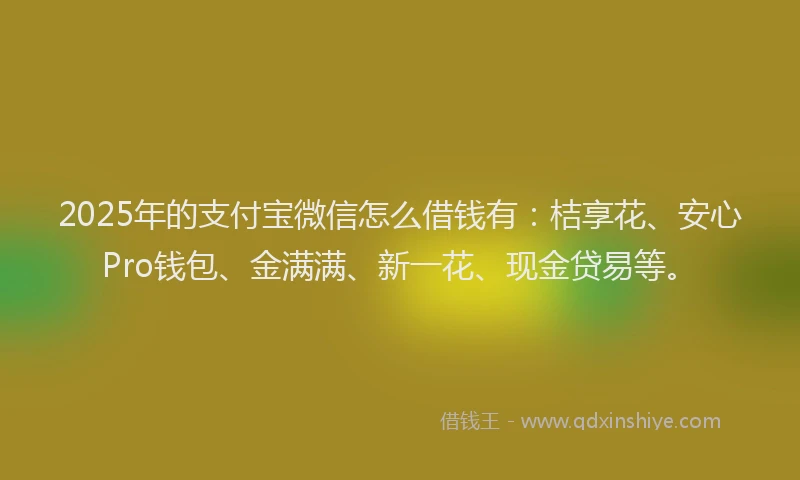 2025年的支付宝微信怎么借钱有：桔享花、安心Pro钱包、金满满、新一花、现金贷易等。