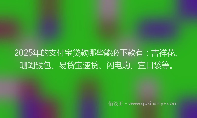 2025年的支付宝贷款哪些能必下款有：吉祥花、珊瑚钱包、易贷宝速贷、闪电购、宜口袋等。