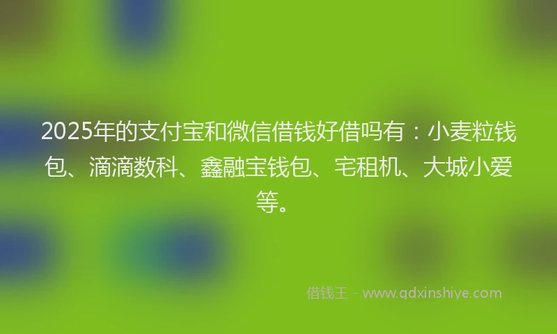 2025年的支付宝和微信借钱好借吗有：小麦粒钱包、滴滴数科、鑫融宝钱包、宅租机、大城小爱等。