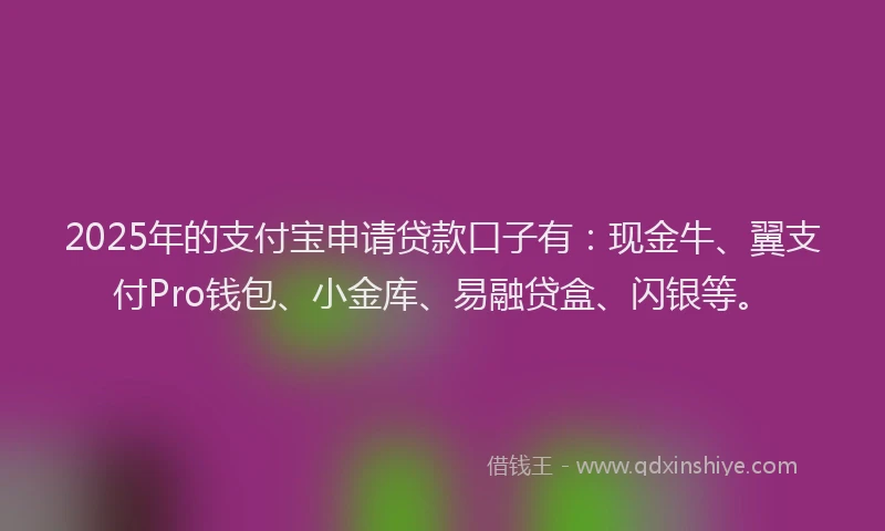 2025年的支付宝申请贷款口子有：现金牛、翼支付Pro钱包、小金库、易融贷盒、闪银等。