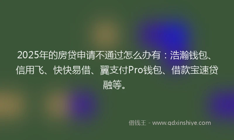 2025年的房贷申请不通过怎么办有：浩瀚钱包、信用飞、快快易借、翼支付Pro钱包、借款宝速贷融等。
