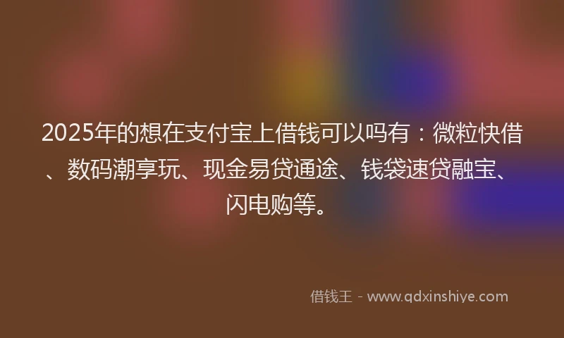 2025年的想在支付宝上借钱可以吗有：微粒快借、数码潮享玩、现金易贷通途、钱袋速贷融宝、闪电购等。