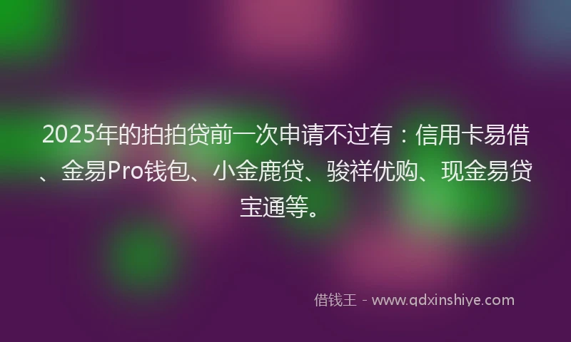 2025年的拍拍贷前一次申请不过有：信用卡易借、金易Pro钱包、小金鹿贷、骏祥优购、现金易贷宝通等。