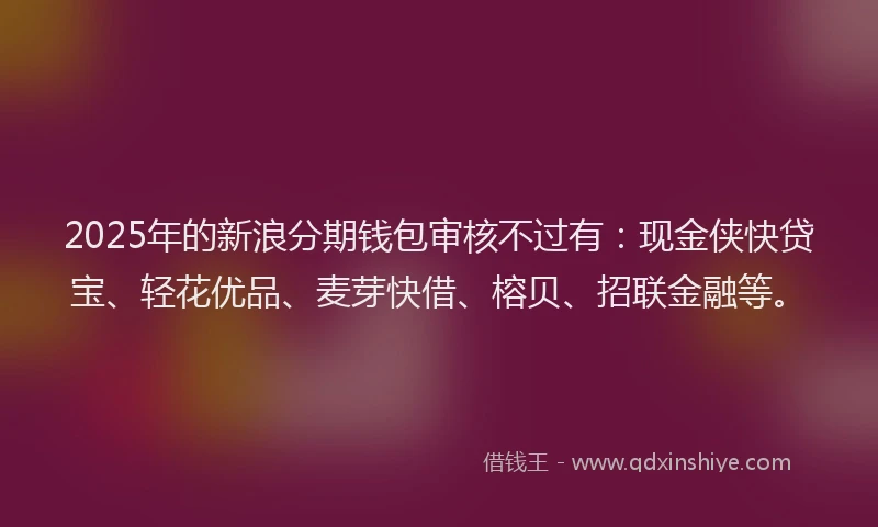 2025年的新浪分期钱包审核不过有：现金侠快贷宝、轻花优品、麦芽快借、榕贝、招联金融等。